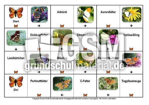 Domino-Schmetterlinge.pdf